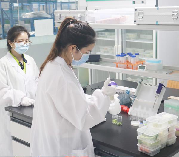 食品安全檢測03