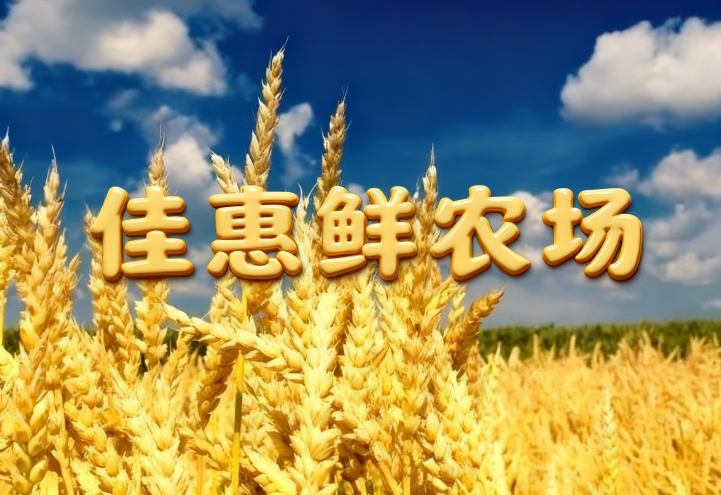 5731BC6E10364AA06AEC399BA908757A.png