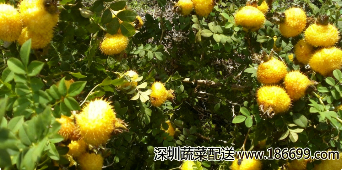 微信圖片_20251127141309_1_144.png