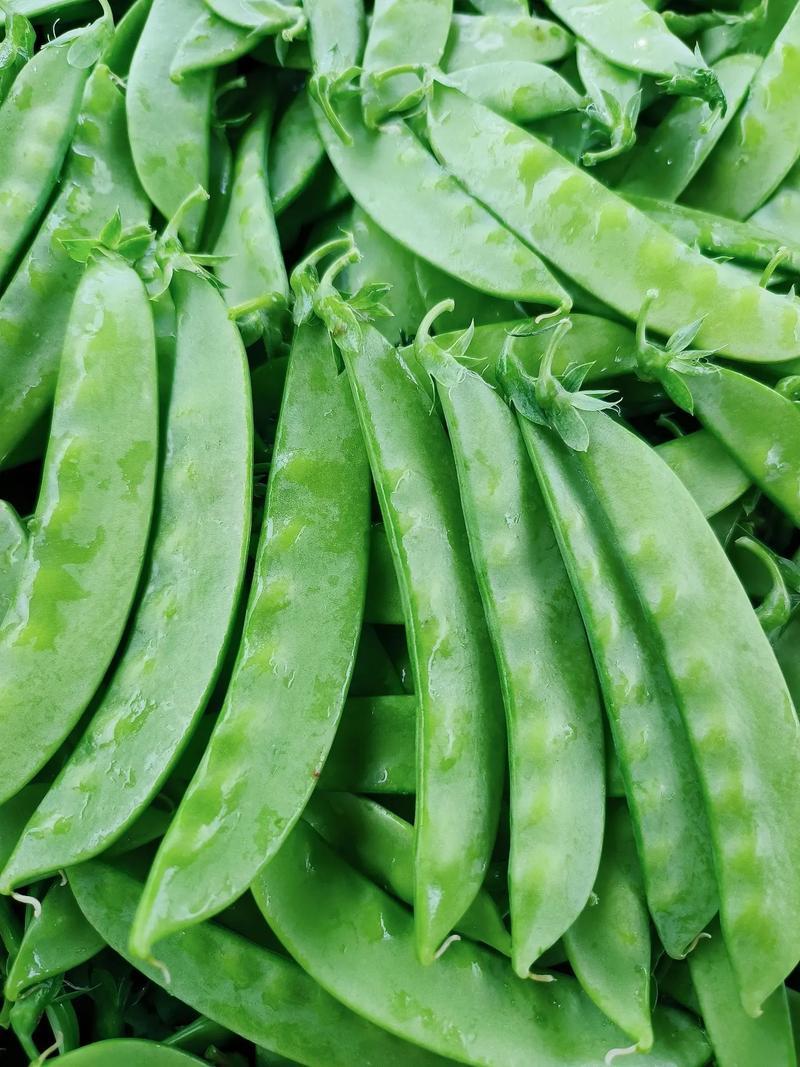 惠州生鮮蔬菜配送中心為您科普荷蘭豆的營養價值
