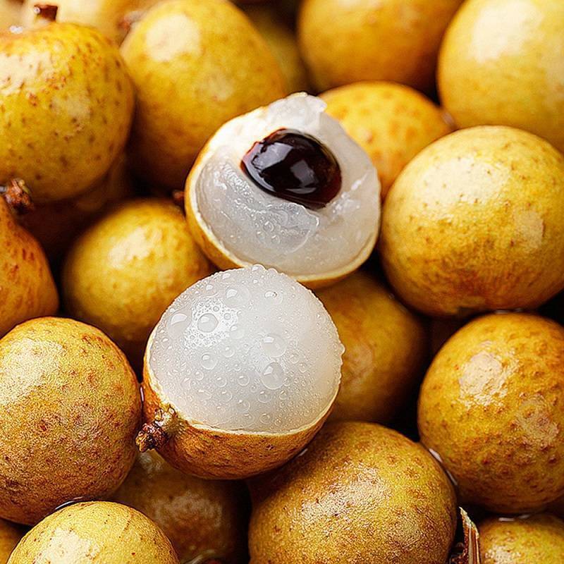 ?桂圓：滋補養生的甜蜜果實